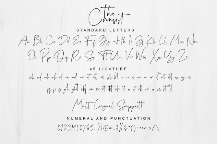 Modern calligraphy, calligraphy font, stylish font, modern font, minimalist font, wedding font, hand written font, logo font, minimalist script, script font, elegant chic font, elegant font, wedding logo font, wedding script, lovely font, script, realistic, branding, logo, wedding, stylish, casual, poster, handwriting, written, pen, ink, fashionable, fun, classy, elegant, natural, writing, love, real, authentic, cool, feminine, girly, fresh, magazine, write, photography, media, bookcover, fast, popular, page one, handpick, up, vacation, quick